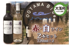 【数量限定】ワイン　赤　白 飲み比べ　メルロ種　甲州種　720ml 各1本 計2本セット（ootama blue）【20003】