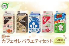 Rakuo Cafe au lait Variety 15 bottles set 5 types (300ml x 3 each) Cafe au lait set Variety Strawberry Yogurt[01133]