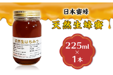 天然生蜂蜜（日本蜜蜂）【ハチミツ 蜂蜜 はちみつ 生蜂蜜 蜂 お菓子 瓶タイプ 砂糖 甘い 濃厚】