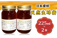 天然生蜂蜜（日本蜜蜂）2本セット【ハチミツ 蜂蜜 はちみつ 生蜂蜜 蜂 お菓子 瓶タイプ 砂糖 甘い 濃厚】
