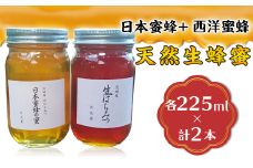 天然生蜂蜜（日本蜜蜂と西洋蜜蜂）【ハチミツ 蜂蜜 はちみつ 生蜂蜜 蜂 お菓子 瓶タイプ 砂糖 甘い 濃厚】
