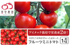 フルーツミニトマト1kg【 トマト とまと 野菜  甘い 人気 おすすめ 茨城県 下妻市 】