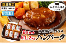 75-04 ハンバーグ 6個セット 約1.2kg (約200g × 6個） デミグラスハンバーグ 【海老沢精肉店】