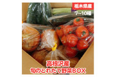 高根沢産旬の野菜BOX