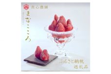 まなこころ・冷凍いちご　1kg　1袋 【 イチゴ 苺 おやつ スムージー 埼玉県 特産 】