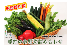 【南房総市産】季節のお野菜詰め合わせ mi0047-0001