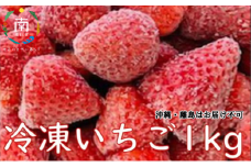 冷凍いちご　1kg（あきひめ、かおり野、紅ほっぺ） mi0065-0001