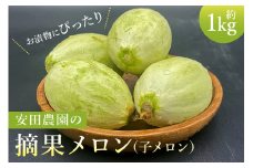 お漬物にぴったり　安田農園の摘果メロン（子メロン）1kg mi0018-0011