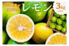 びわ農家が栽培したレモン3kg mi0090-0001