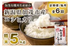 【定期便6ヶ月毎月お届け】新潟県加茂市産コシヒカリ 精米5kg 白米 加茂有機米生産組合 定期便