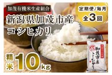 【定期便3回毎月お届け】新潟県加茂市産コシヒカリ 精米10kg（5kg×2）白米 加茂有機米生産組合 定期便
