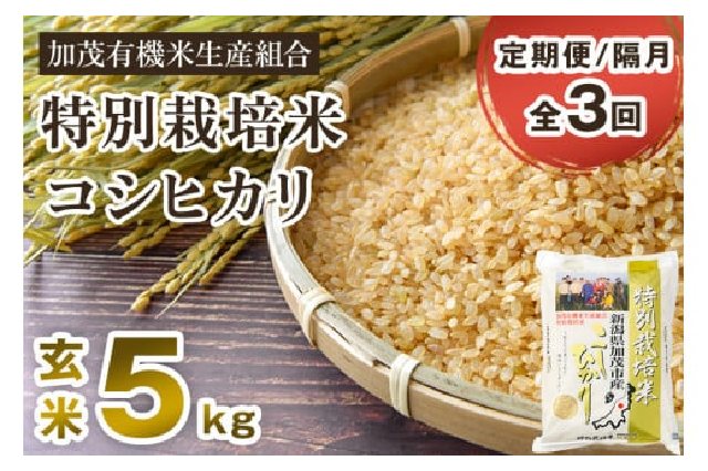 ふるさと納税 「【定期便3回隔月お届け】特別栽培米 コシヒカリ 玄米