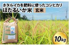 【訳あり】ほたるいか米（玄米10kg）【通年発送】