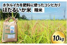 【訳あり】ほたるいか米（精米10kg）【通年発送】
