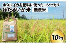 【訳あり】ほたるいか米（無洗米10kg）【通年発送】