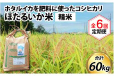 【訳あり】ほたるいか米（精米10kg）×6回 計60kg【6ヶ月定期便】