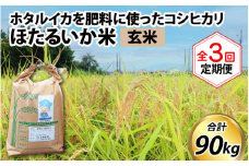 【訳あり】ほたるいか米（玄米30kg）×3回 計90kg【3ヶ月定期便】