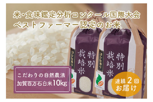ふるさと納税 「[№5784-0206]加賀百万石特別栽培米コシヒカリ「白米