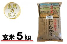 [№5784-0566]自然農法米こしひかり「自然の恵み」玄米5kg《特別栽培米》