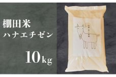 [003-a002] 生産者直送！令和5年度産 福井県産 米 ハナエチゼン 10kg