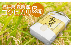 [051-a008] 敦賀産コシヒカリ 5kg × 1袋