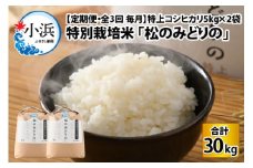 【定期便】 【全3回(毎月)】 特上コシヒカリ 5kg × 2袋 令和5年産 特別栽培米 「松のみどりの」