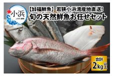 【加福鮮魚】「若狭小浜湾産地直送」旬の天然鮮魚お任せセット！ 計2kg以上 