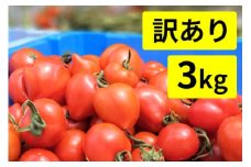 【訳あり】めぐみでぃトマト 3kg 若狭の恵
