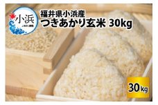 【令和5年産】福井県産 つきあかり 玄米 30kg 若狭の恵  