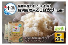 【令和5年産】 福井県産 特別栽培米 こしひかり 玄米 10kg × 2袋 若狭の恵 