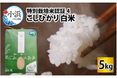 【令和5年産】福井県産特別栽培米認証4こしひかり 白米5kg