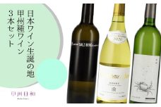 日本ワイン生誕の地 甲州種ワイン3本セット（KSB）C7-656