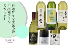 日本ワイン生誕の地 甲州種ワイン6本セット（KSB）F-655