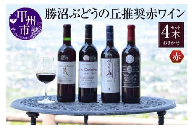 ふるさと納税 「勝沼ぶどうの丘推奨赤ワイン4本セット D-604【甲州