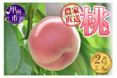 さんちゃんファームの桃約2kg（5玉～8玉）【2024年発送】B-151