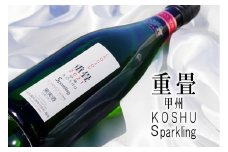 大和葡萄酒「重畳」(スパークリングワイン・辛口)　B-670