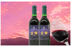 山ぶどうワイン「紫輝」2021　２本セット