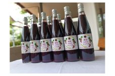 Miyata grape juice 12 bottles set