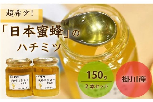 ふるさと納税 「１４８９ 超希少！掛川で採種した蜂蜜「 日本ミツバチ
