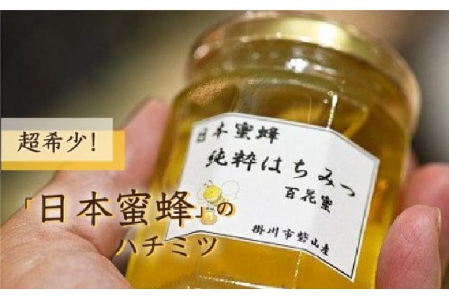 ふるさと納税 「１４８９ 超希少！掛川で採種した蜂蜜「 日本ミツバチ