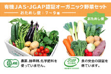 １１１３　野菜 オーガニック 野菜セット おためしⅯ 旬の有機野菜 ７～9袋 しあわせ野菜畑