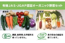 １１１２　野菜 オーガニック 野菜セット 有機JAS認証 旬の有機野菜 ９～１２袋 しあわせ野菜畑 