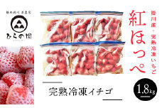 １５１５　掛川産・完熟冷凍イチゴ 紅ほっぺ 300g×6袋 計1.8kg 真っ赤な完熟×土耕栽培で香りと味が違います！ ひらの園 ( 静岡 イチゴ 苺 いちご 土耕 ）