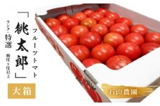 ５０１６　トマト 美味しんぼに登場したトマト｢桃太郎｣大箱 約3.5ｋｇ：特選 糖度９度以上 令和6年１月中・下旬より順次発送 石山農園 