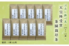 ５３４１　天皇杯受賞茶園栽培茶 100g×10袋・計１kg（ 深蒸し掛川茶 ）山英　深蒸し茶