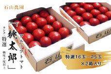 ５４６７　トマト 美味しんぼに登場した トマト ｢ 桃太郎 ｣ 16～25玉×2箱 ランク：特選 糖度９度以上 令和6年1月中･下旬から順次発送 石山農園 