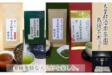 ５７３５　天皇杯受賞茶園栽培茶　４種９袋セット（ 深蒸し掛川茶 ）山英　