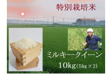 【１１月発送】令和６年産新米 特別栽培米 ミルキークイーン 10kg | 安心 精米 もちもちした食感 こだわりの農法　TC-0411
