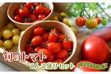 PF-01　旬のトマトのてんこ盛りセット