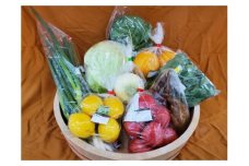 GF-06 旬の野菜と果物のふるさと便
